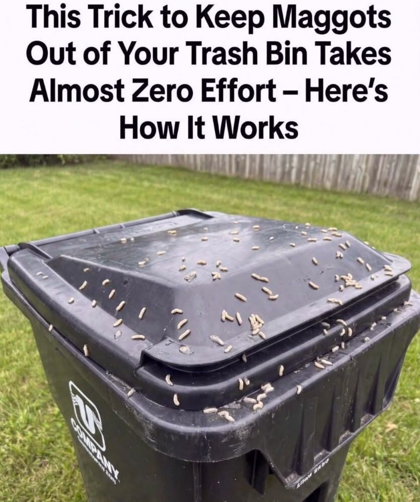 How to Stop Maggots From Taking Over Your Trash Bin
