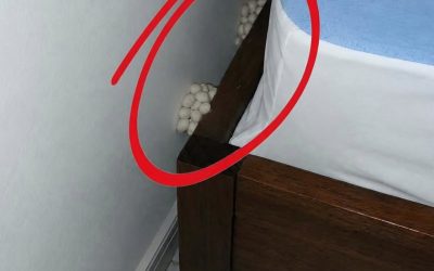 I Came Home After A Long Shift Only To Find A Terrifying Discovery On My Bedroom Floor